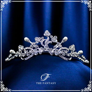 eBA  EGfBO I uC_ tiara ԉ  ݌Ɉ|Z[킢 ^gD[V[ 撆 ft9061plsr