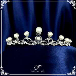 eBA  EGfBO I uC_ tiara ԉ  ݌Ɉ|Z[킢 ^gD[V[ 撆 ft9075plsr