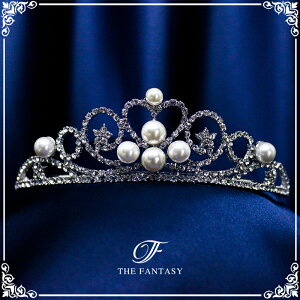 eBA  EGfBO I uC_ tiara ԉ  ݌Ɉ|Z[킢 ^gD[V[ 撆 ft9079plsr