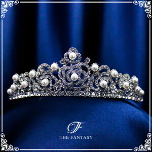 eBA  EGfBO I uC_ tiara ԉ  ݌Ɉ|Z[킢 ^gD[V[ 撆 ft9084plsr