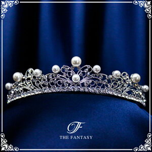 eBA  EGfBO I uC_ tiara ԉ  ݌Ɉ|Z[킢 ^gD[V[ 撆 ft9086plsr