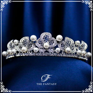 eBA  EGfBO I uC_ tiara ԉ  ݌Ɉ|Z[킢 ^gD[V[ 撆 ft9087plsr