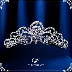 eBA  EGfBO I uC_ tiara ԉ  ݌Ɉ|Z[킢 ^gD[V[ 撆 ft9088sr