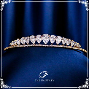 eBA  EGfBO I uC_ tiara ԉ  ݌Ɉ|Z[킢 ^gD[V[ 撆 ft9211gd