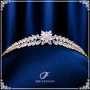 eBA  EGfBO I uC_ tiara ԉ  ݌Ɉ|Z[v[g 撆 ft9215gd