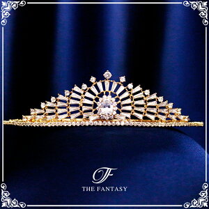 eBA  EGfBO I uC_ tiara ԉ  ݌Ɉ|Z[v[g 撆 ft9218gd