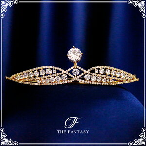 eBA  EGfBO I uC_ tiara ԉ  ݌Ɉ|Z[v[g 撆 ft9219gd