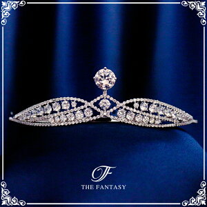 eBA  EGfBO I uC_ tiara ԉ  ݌Ɉ|Z[v[g 撆 ft9219sr