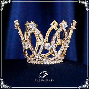 eBA  EGfBO I uC_ tiara ԉ  ݌Ɉ|Z[v[g 撆 ft9246gd