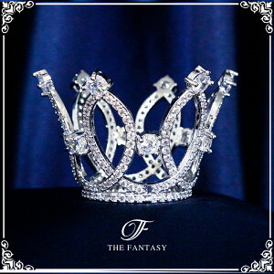 eBA  EGfBO I uC_ tiara ԉ  ݌Ɉ|Z[v[g 撆 ft9246sr