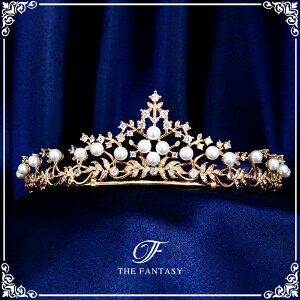 eBA  EGfBO I uC_ tiara ԉ  ݌Ɉ|Z[v[g 撆 ft9250plgd