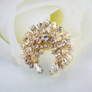 u[` tH[} XtXL[  p[@brooch ݌Ɉ|Z[ 킢 ^gD[V[ 撆 fx212wegd