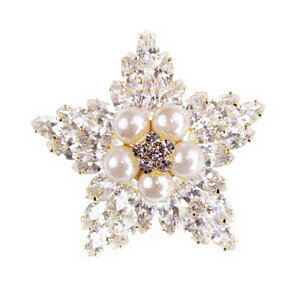 u[` tH[} XtXL[  p[@brooch ݌Ɉ|Z[ 킢 ^gD[V[ 撆 fxp130wegd