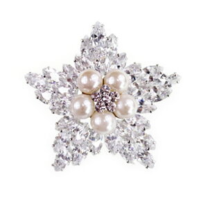 u[` tH[} XtXL[  p[@brooch ݌Ɉ|Z[ 킢 ^gD[V[ 撆 fxp130wesr