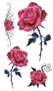 �^�g�D�[�V�[�� �^�g�D�[�V�[�� �K�N hm660 �y���M�����[�z