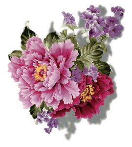 ^gD[V[ O  ̊ 3D ^EA4 mqs07l