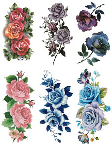 ^gD[V[ KN m66Zbg+2nset307