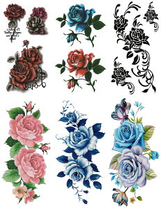 ^gD[V[ KN m66Zbg+2nset308