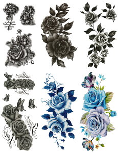 ^gD[V[ KN m66Zbg+2nset309