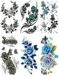 ^gD[V[ KN m66Zbg+2nset310