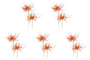 ^gD[V[ [5] ފ݉ tm1349 y|Cgz