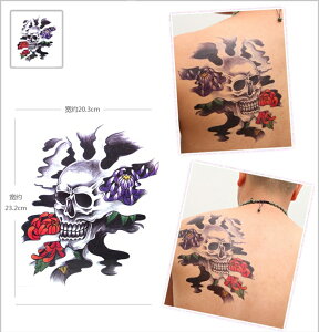 �^�g�D�[�V�[�� �^�g�D�[�V�[�� �� �h�N�� wqa15 �y��^�EA4�z