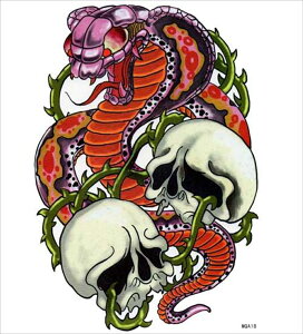 ^gD[V[ ^gD[V[ ւƊ[ wqa18 y^EA4z