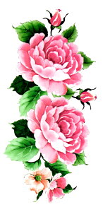 ^gD[V[ ^gD[V[  O ymp001 yM[z