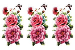 ^gD[V[ m3Zbgn  O ymp325 [M[TCYn