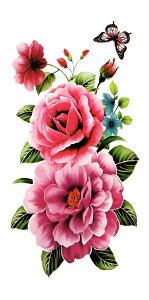 ^gD[V[  O ymp325 [M[TCYn