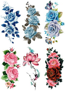 ^gD[V[ KN  @ [ʏTCYE66n ymp6002