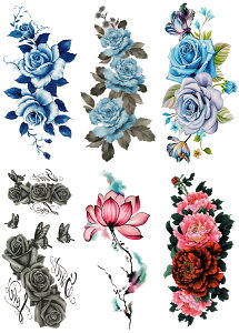 ^gD[V[ KN  @ [ʏTCYE66n ymp6004