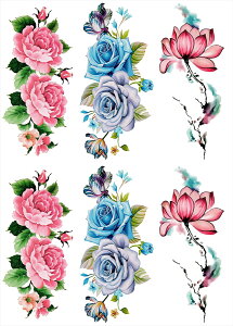 ^gD[V[ KN  @ [ʏTCYE36n ymp6005