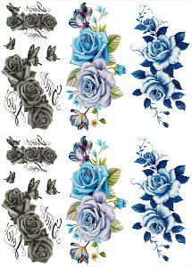 ^gD[V[ KN  [ʏTCYE36n ymp6006