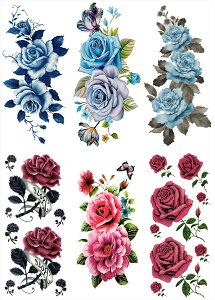 ^gD[V[ KN  @ [ʏTCYE66n ymp6008