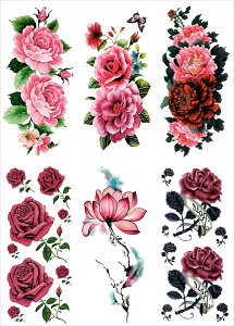 ^gD[V[ KN O @ [ʏTCYE66n ymp6016