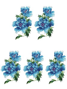 ^gD[V[  O jp 3Έȏ m5nymx091