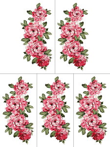 y5Zbgz ^gD[V[  O ymx294 yM[z