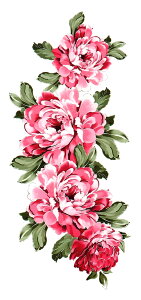 ^gD[V[ ^gD[V[  O ymx294 yM[z