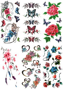 ^gD[V[ KN  o  y66Zbg+1z ymx6002