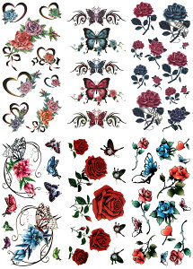 ^gD[V[ KN  o  y66Zbg+1z ymx6003