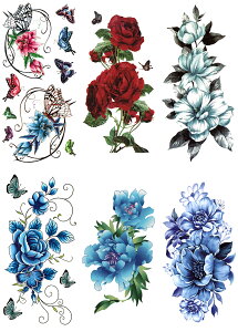 ^gD[V[ KN  o  y66Zbg+1z ymx6005