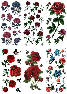 ^gD[V[ KN  o  m66n ymx6017