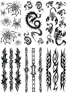 ^gD[V[ KN  o  m66n ymx6024