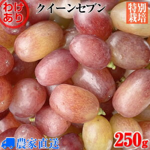 y󂠂z󏭕i NC[Zu 250g  uhE ʂ蔄 _ƒ VC}XJbg𒴂ɂ̊Â Ȃ Ԃǂ 炲ƐHׂy_zyʍ͔|zyƒpzy