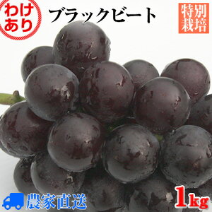 Vi ubNr[g(×sI[l) ȂԂǂ 󂠂 1kg ʂ蔄y_zyʍ͔|zyƒpzyƖpz