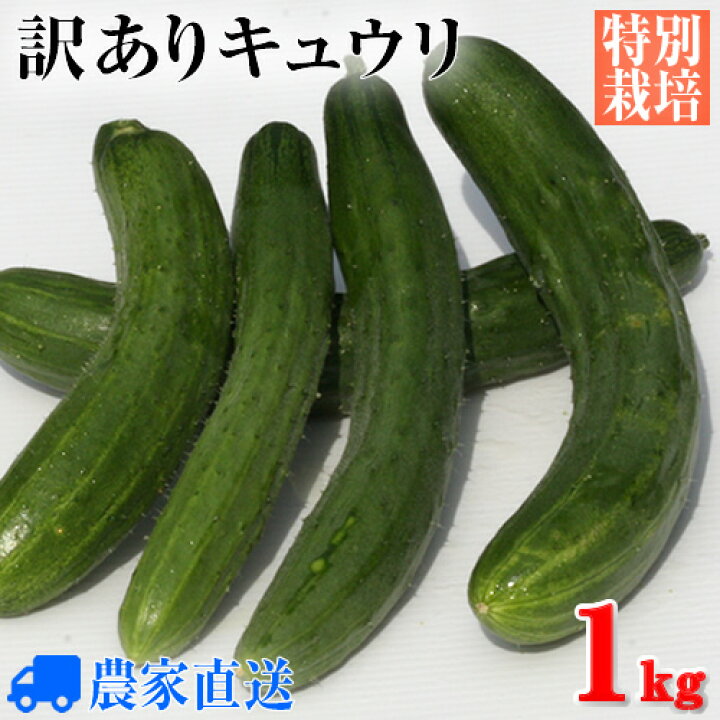 百貨店 農家直送新鮮野菜きゅうりキュウリ胡瓜 atak.com.br 百貨店 農家直送新鮮野菜きゅうりキュウリ胡瓜 atak.com.br