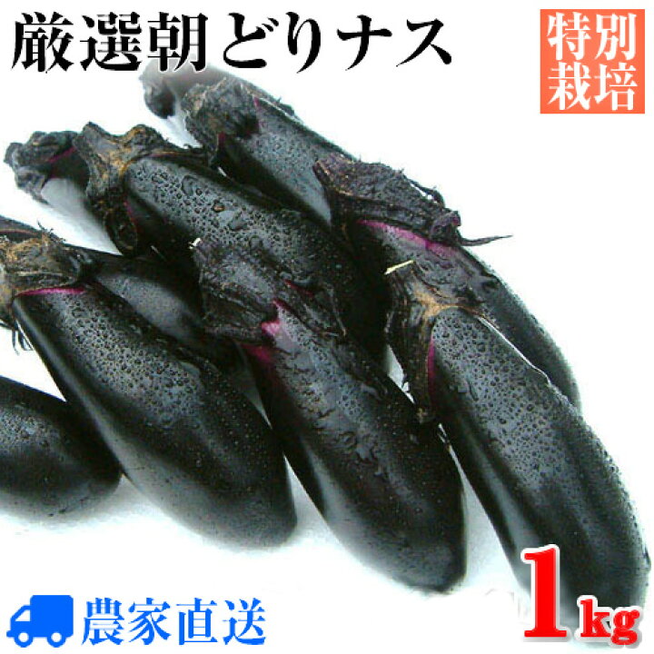 楽天市場 ご注文後に収穫 特別栽培秋ナス 朝どり特産秋なす 1kg 農家直送 秋茄子 減農薬 ギフト たばたファーム新鮮野菜ネット直売