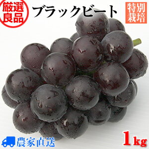 Vi 嗱uhE ubNr[g ×sI[l ȂԂǂ ǕiI 1kg 2[yMtgzyhV̓zy_zyʍ͔|z