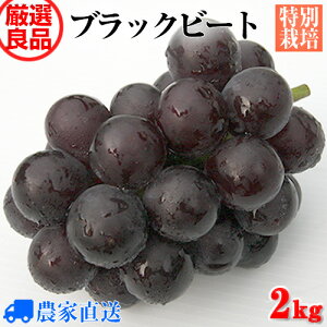 yzVi 嗱uhE ubNr[g ×sI[l ȂԂǂ ǕiI 2kg 3`5[yMtgzyhV̓zy_zyʍ͔|z